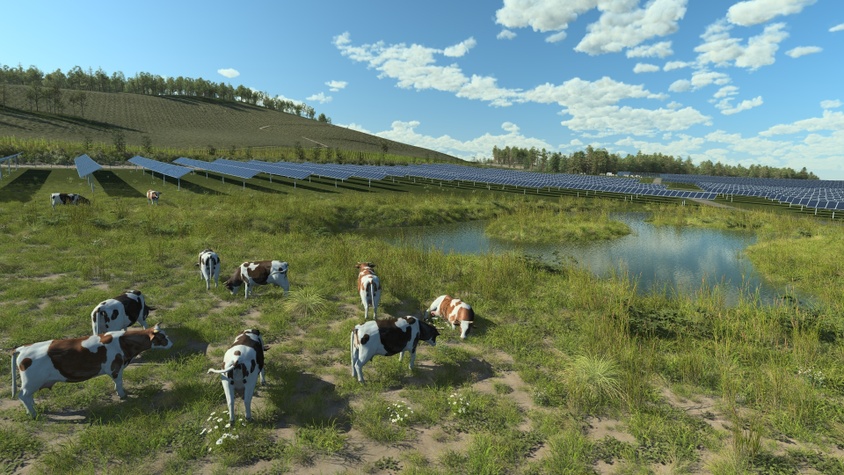 Emphasize biodiversity preservation